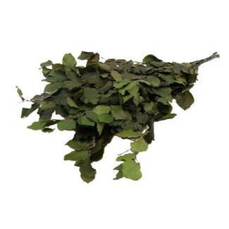 HBXD Bunch Fagus Pres. Slv 150g L80