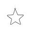 Hanger Star Lucker L20W0.4H20
