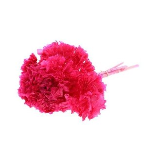 HBXD Bunch Hydrangea Pres.L30