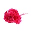 Bunch Hydrangea Pres.L30