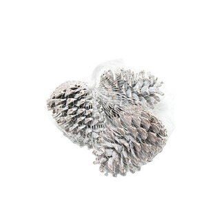 HBXD Pinecone Maritima L10/12 15 Pcs