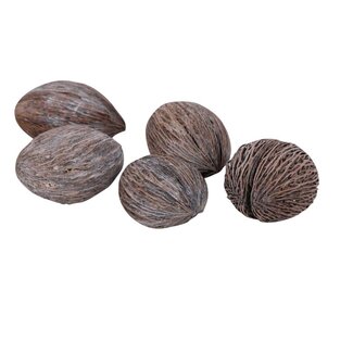 HBXD Ball Mintolla 20Pcs