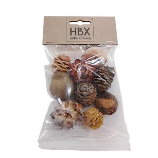 HBXD Hobby Leuca Ass. Loose 50gr