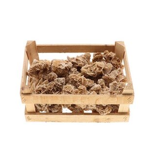 HBXD Desert Rose L30W20H12