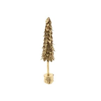 HBXD Tree Birch H50