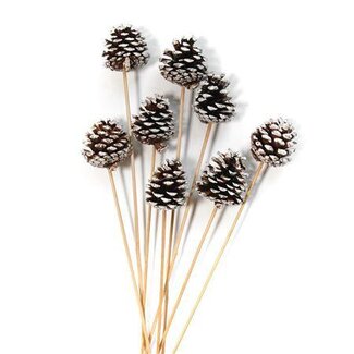 HBXD Stem Pinecone White Tip L50