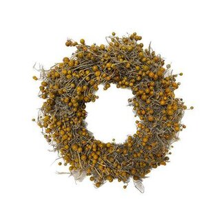 HBXD Wreath Solanum D35