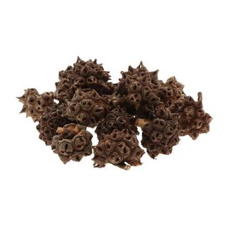 HBXD Spidergum Knobs Loose 500gr