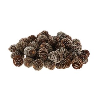 HBXD Muirii Loose 500gr