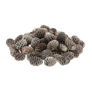 HBXD Sabulosum Loose 500gr