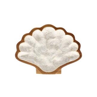 HBXD Tray Teak Capiz Shell L26W20H2