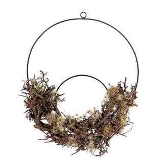 HBXD Hang Ring Clematis Bonsai D45