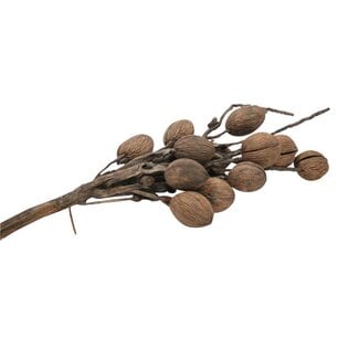HBXD Branch Coco Finger L75W10H10