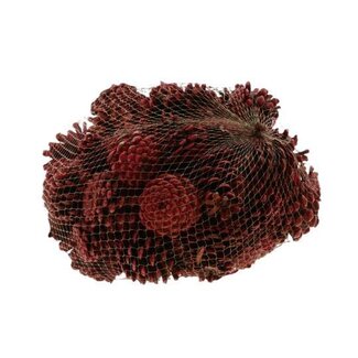 HBXD Pinecone Oostenrijker 1kg