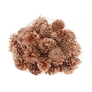 HBXD Pinecone Oostenrijker 1kg