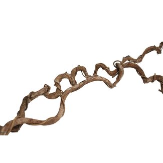 HBXD Branch Crazyvine Wrapped L180