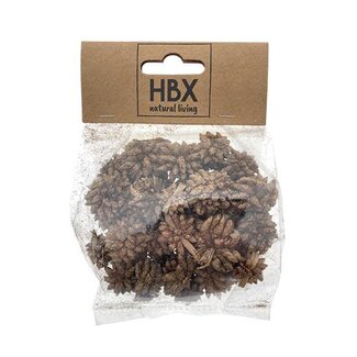 HBXD Star Flower 30g