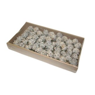 HBXD Stem Spidergum Knobs 35 Pcs