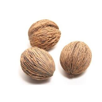 HBXD Ball Mintolla 20Pcs