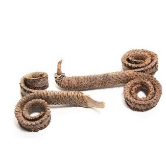 HBXD Palm Male 10Pcs