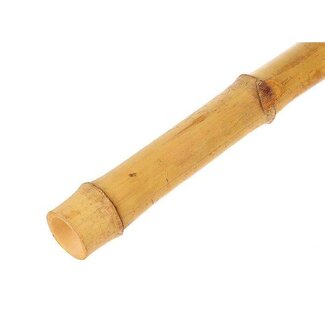 HBXD Branch Bamboo L210D6