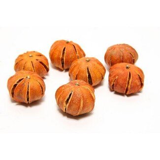 HBXD Mandarine Whole 250g