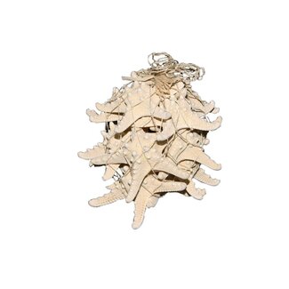 HBXD Shell Knobby Starfish 10 Pcs W12