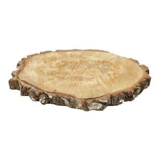 HBXD Slice Birch D45