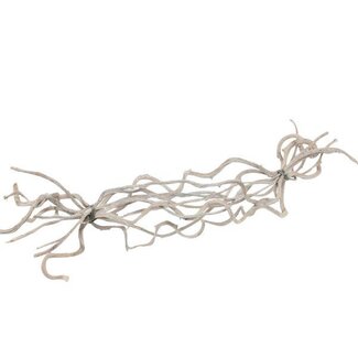 HBXD Bundle Crazyvine 10 Pcs L60