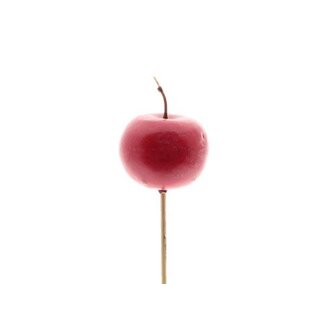HBXD Stem Apple Blush L56D5