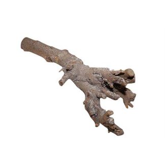 HBXD Branch Kuwa Root L40