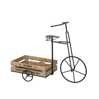 HBXD Tricycle Flower L90W37H70