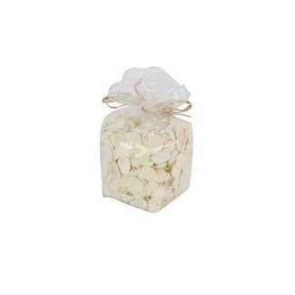 HBXD Shell Cockle L6W6H13