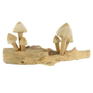 HBXD Mushroom Teak Tiram L50W14H20
