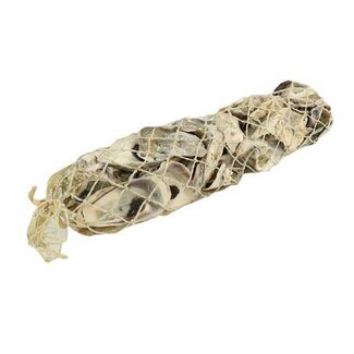 HBXD Shell Talaba Oyster L30