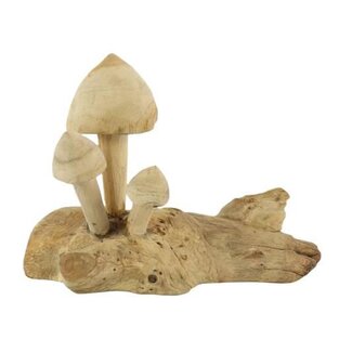 HBXD Mushroom Teak Tiram L25W14H20