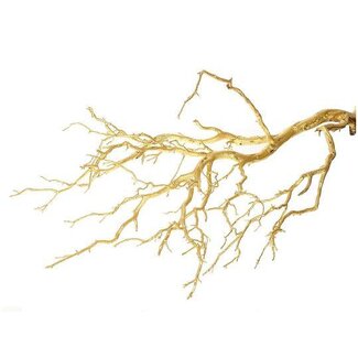 HBXD Branch Manzanita Gold H150