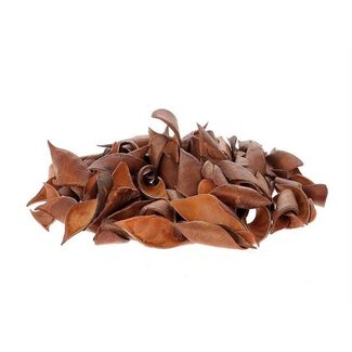 HBXD Brownie Curved L12W9H30
