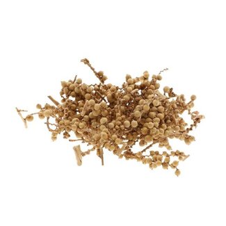 HBXD Canela Small Bunch 50g L9W8H15