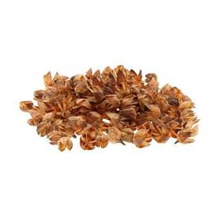 HBXD Hibiscus Pod 50g L9W8H25