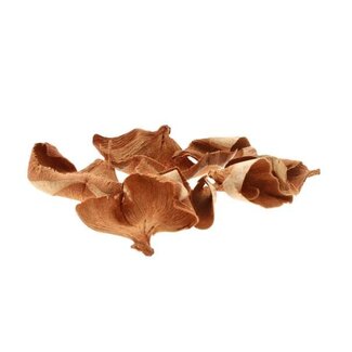 HBXD Coco Ruffles 50g L8W7H12