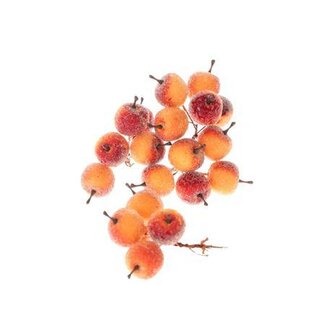 HBXD Stem Apple 20 Pcs L10D3
