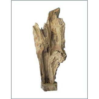 HBXD Tree Teak Kata L42W17H130