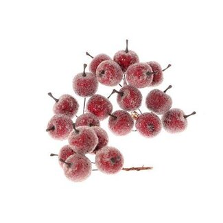HBXD Stem Apple 20 Pcs L10D3