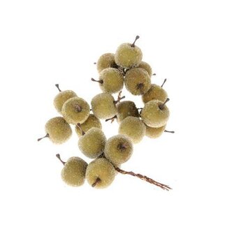 HBXD Stem Apple 20 Pcs L10D3