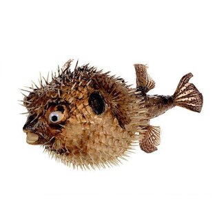 HBXD Fish Porcupine D33-35