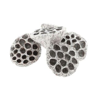 HBXD Lotus Large Glitter 8/10cm 6pc