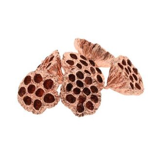 HBXD Lotus Large Glitter 8/10cm 6pc