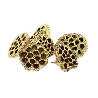 HBXD Lotus Large Glitter 8/10cm 6pc