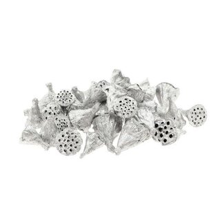 HBXD Lotus Mini Glitter 200pc